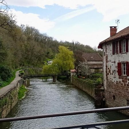 Saint Jean Pied De Port. Centre Ville. Rue Pietonne Bagian luar foto