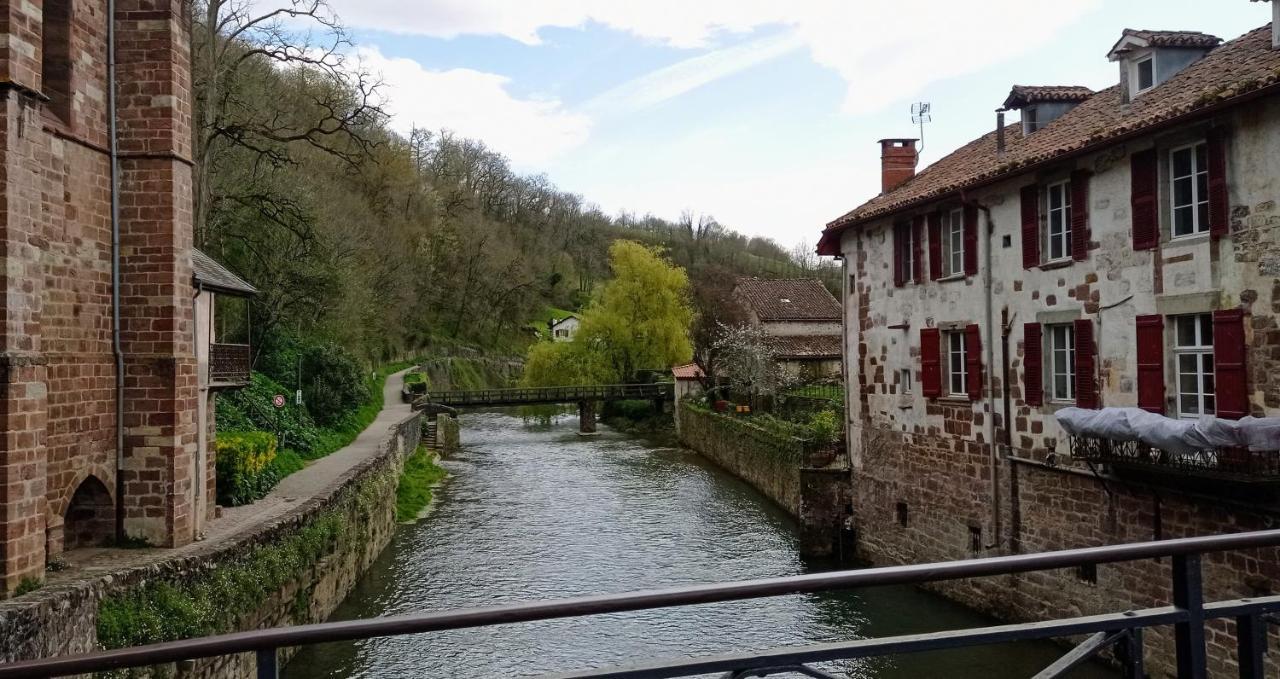 Saint Jean Pied De Port. Centre Ville. Rue Pietonne Bagian luar foto