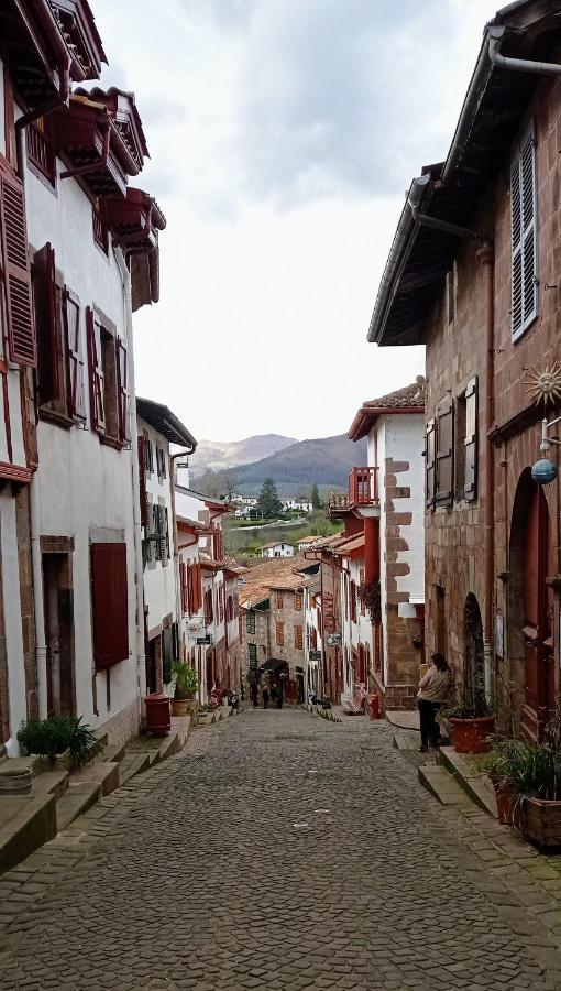 Saint Jean Pied De Port. Centre Ville. Rue Pietonne Bagian luar foto
